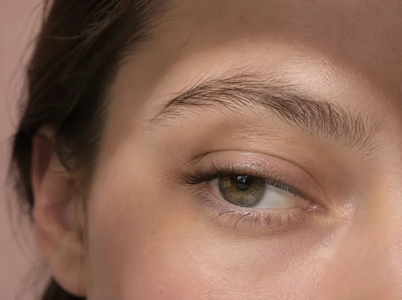 Close-up of a bare, natural eyebrow in soft light